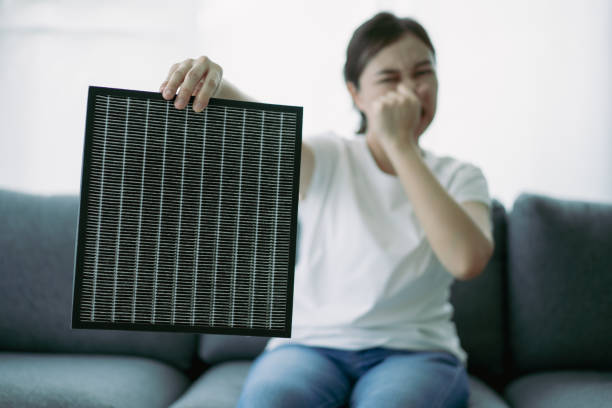 Best HVAC System Cleaning  in Thorndale, TX